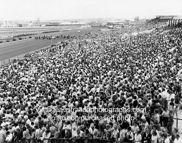 The Golden Slipper Stakes, Rosehill Racecourse