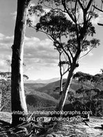 Northern Blue Mountains, NSW