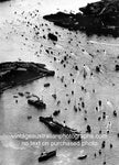 Heavy Traffic in Sydney Harbour, NSW