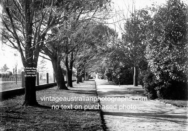 Cook Park, Orange, NSW