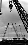 Cranes, Sydney, NSW