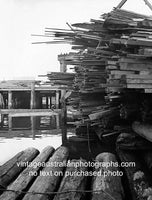 Timber Yard, Pyrmont, Sydney, NSW