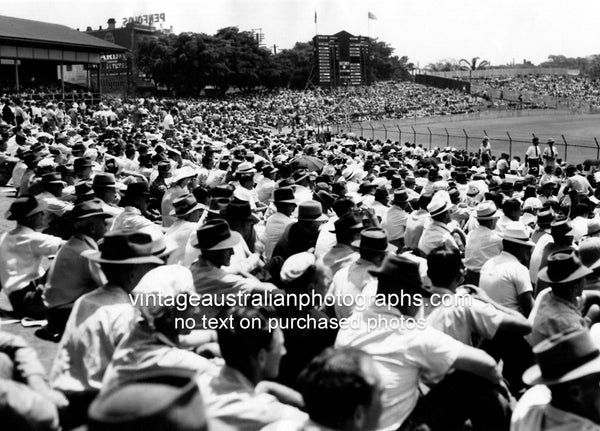 Crowd At Brisbane Test