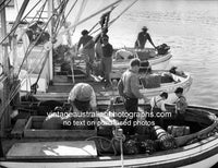 Sydney Fishing Boats