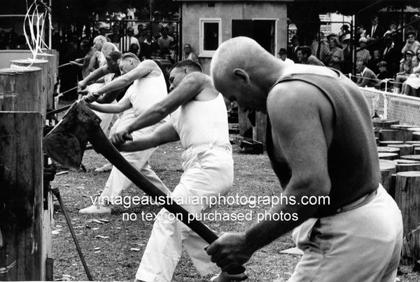 Tom Kirk, Wood Chopping Champion