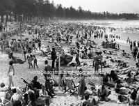 Manly Beach