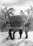 Tony Aslangul at Mount Hotham