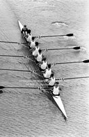 Rowers on the Brisbane River