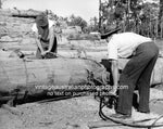 Timber Workers